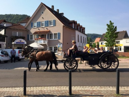 照片: Landgasthof zum Ochsen